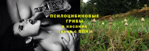 Альфа ПВП Аркадак